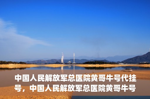 中国人民解放军总医院黄哥牛号代挂号，中国人民解放军总医院黄哥牛号代挂号解析，揭秘挂号背后的故事