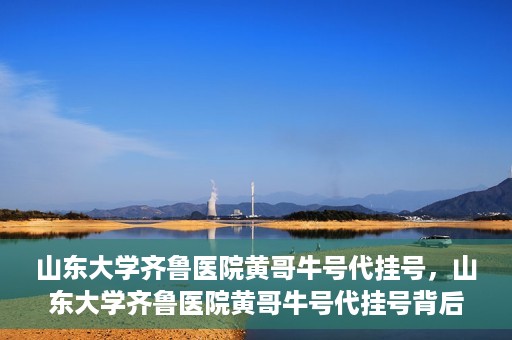 山东大学齐鲁医院黄哥牛号代挂号，山东大学齐鲁医院黄哥牛号代挂号背后的故事与探索