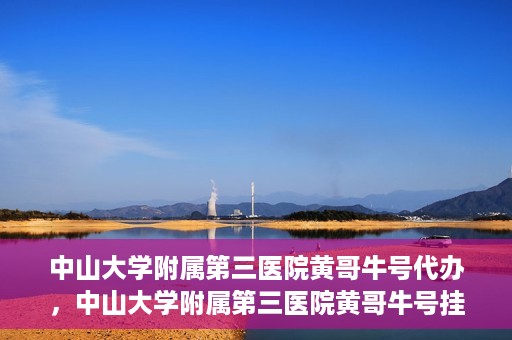 中山大学附属第三医院黄哥牛号代办，中山大学附属第三医院黄哥牛号挂号代办攻略