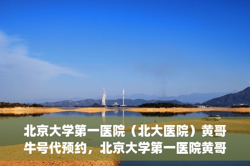 北京大学第一医院（北大医院）黄哥牛号代预约，北京大学第一医院黄哥牛号预约服务解析