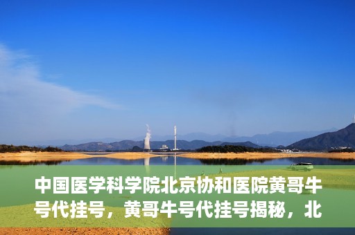 中国医学科学院北京协和医院黄哥牛号代挂号，黄哥牛号代挂号揭秘，北京协和医院挂号背后的故事