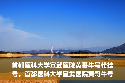 首都医科大学宣武医院黄哥牛号代挂号，首都医科大学宣武医院黄哥牛号助您轻松预约挂号