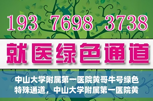 中山大学附属第一医院黄哥牛号绿色特殊通道，中山大学附属第一医院黄哥牛号，绿色特殊通道开启健康之门
