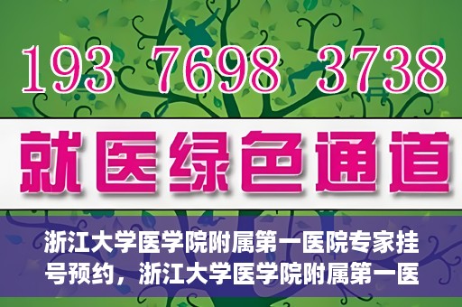 浙江大学医学院附属第一医院专家挂号预约，浙江大学医学院附属第一医院专家挂号预约攻略揭秘