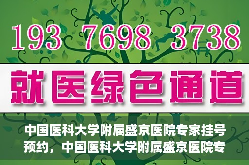 中国医科大学附属盛京医院专家挂号预约，中国医科大学附属盛京医院专家挂号预约攻略，一站式预约服务解析