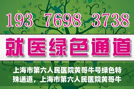 上海市第六人民医院黄哥牛号绿色特殊通道，上海市第六人民医院黄哥牛号，绿色特殊通道开启