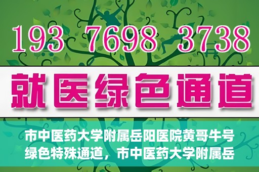 市中医药大学附属岳阳医院黄哥牛号绿色特殊通道，市中医药大学附属岳阳医院黄哥牛号，绿色特殊通道开启健康之门