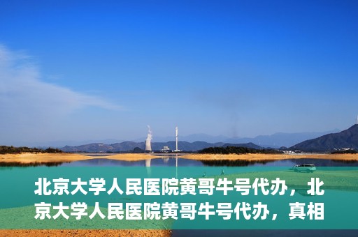北京大学人民医院黄哥牛号代办，北京大学人民医院黄哥牛号代办，真相揭秘与深度解读