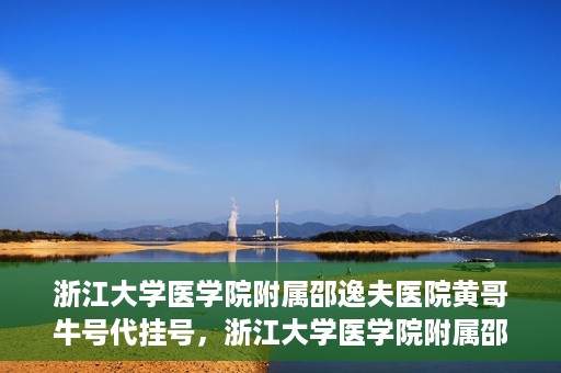 浙江大学医学院附属邵逸夫医院黄哥牛号代挂号，浙江大学医学院附属邵逸夫医院黄哥牛号代挂号服务解析
