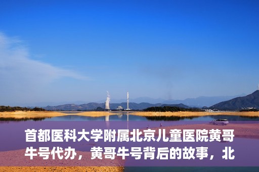 首都医科大学附属北京儿童医院黄哥牛号代办，黄哥牛号背后的故事，北京儿童医院名医背后的故事与探索。