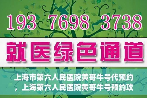 上海市第六人民医院黄哥牛号代预约，上海第六人民医院黄哥牛号预约攻略，轻松解决挂号难题
