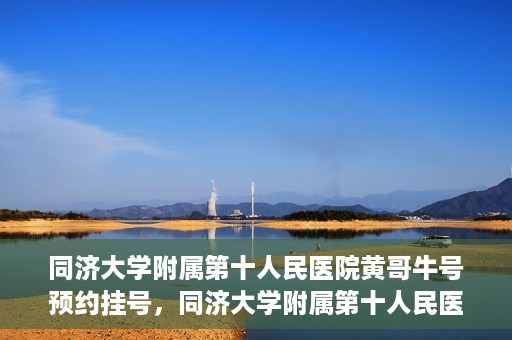同济大学附属第十人民医院黄哥牛号预约挂号，同济大学附属第十人民医院黄哥牛号在线预约挂号攻略