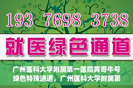 广州医科大学附属第一医院黄哥牛号绿色特殊通道，广州医科大学附属第一医院黄哥牛号，绿色特殊通道开启健康之门