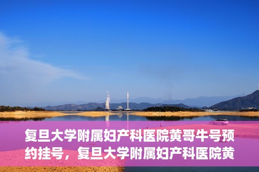 复旦大学附属妇产科医院黄哥牛号预约挂号，复旦大学附属妇产科医院黄哥牛挂号预约攻略解析