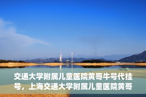 交通大学附属儿童医院黄哥牛号代挂号，上海交通大学附属儿童医院黄哥牛号代挂号攻略