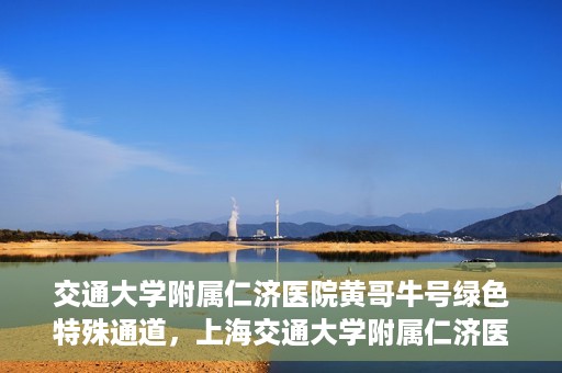 交通大学附属仁济医院黄哥牛号绿色特殊通道，上海交通大学附属仁济医院黄哥牛号绿色就医特殊通道解析