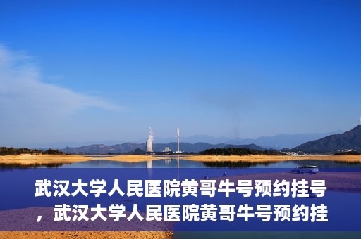 武汉大学人民医院黄哥牛号预约挂号，武汉大学人民医院黄哥牛号预约挂号攻略解析