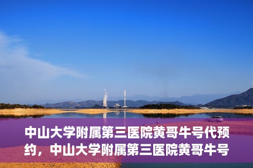 中山大学附属第三医院黄哥牛号代预约，中山大学附属第三医院黄哥牛号预约攻略，轻松解决挂号难题