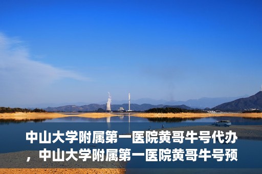中山大学附属第一医院黄哥牛号代办，中山大学附属第一医院黄哥牛号预约挂号代办攻略