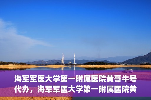 海军军医大学第一附属医院黄哥牛号代办，海军军医大学第一附属医院黄哥牛号代办，揭秘背后的故事