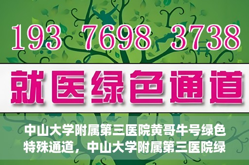 中山大学附属第三医院黄哥牛号绿色特殊通道，中山大学附属第三医院绿色特殊通道，黄哥牛号引领医疗创新之路