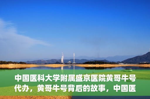 中国医科大学附属盛京医院黄哥牛号代办，黄哥牛号背后的故事，中国医科大学附属盛京医院的信赖之选