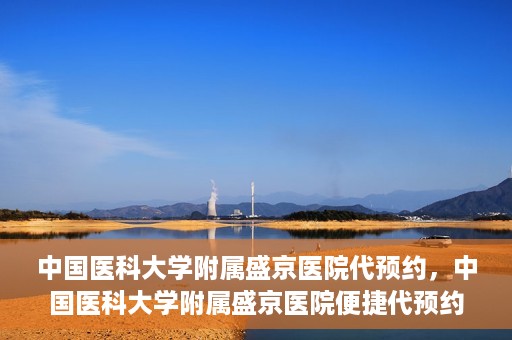 中国医科大学附属盛京医院代预约，中国医科大学附属盛京医院便捷代预约服务解析