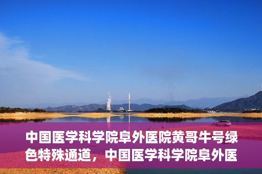 中国医学科学院阜外医院黄哥牛号绿色特殊通道，中国医学科学院阜外医院黄哥牛号，绿色特殊通道的医学力量探索