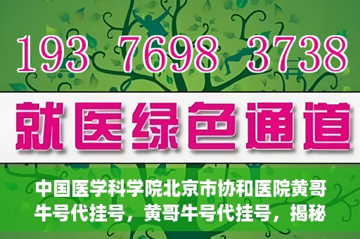 中国医学科学院北京市协和医院黄哥牛号代挂号，黄哥牛号代挂号，揭秘中国医学科学院北京市协和医院挂号背后的故事