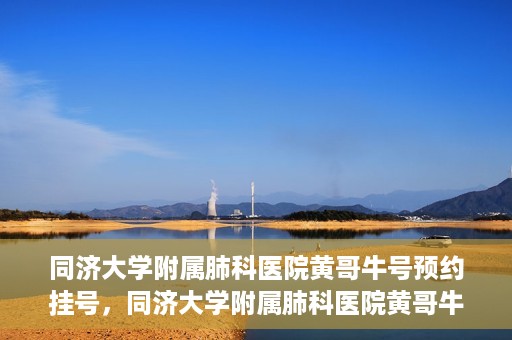 同济大学附属肺科医院黄哥牛号预约挂号，同济大学附属肺科医院黄哥牛预约挂号攻略，轻松预约专家号