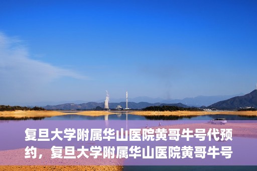 复旦大学附属华山医院黄哥牛号代预约，复旦大学附属华山医院黄哥牛号预约服务解析