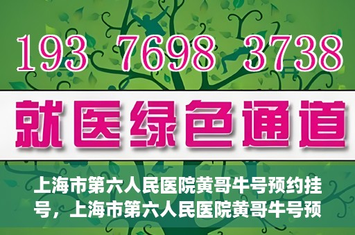 上海市第六人民医院黄哥牛号预约挂号，上海市第六人民医院黄哥牛号预约挂号攻略，轻松挂号，便捷就医体验
