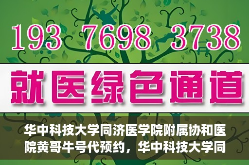华中科技大学同济医学院附属协和医院黄哥牛号代预约，华中科技大学同济医学院附属协和医院预约服务揭秘，黄哥牛号代预约解析