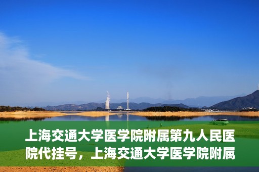 上海交通大学医学院附属第九人民医院代挂号，上海交通大学医学院附属第九人民医院代挂号服务详解