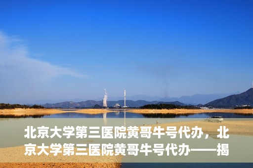 北京大学第三医院黄哥牛号代办，北京大学第三医院黄哥牛号代办——揭秘医疗预约背后的故事