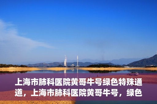 上海市肺科医院黄哥牛号绿色特殊通道，上海市肺科医院黄哥牛号，绿色特殊通道开启健康之门