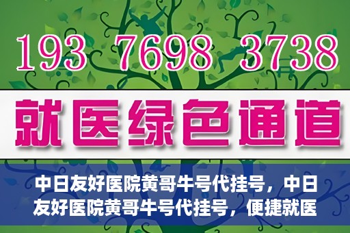 中日友好医院黄哥牛号代挂号，中日友好医院黄哥牛号代挂号，便捷就医背后的故事
