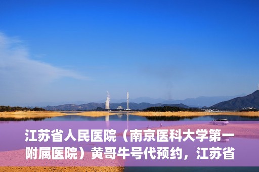 江苏省人民医院（南京医科大学第一附属医院）黄哥牛号代预约，江苏省人民医院（南京医科大学第一附属医院）黄哥牛号预约服务解析