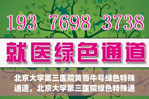 北京大学第三医院黄哥牛号绿色特殊通道，北京大学第三医院绿色特殊通道，黄哥牛号的探索与实践