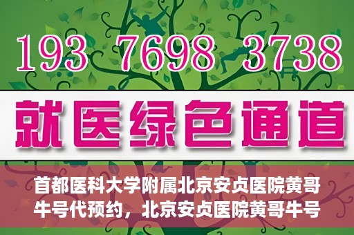 首都医科大学附属北京安贞医院黄哥牛号代预约，北京安贞医院黄哥牛号预约服务解析