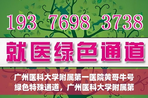 广州医科大学附属第一医院黄哥牛号绿色特殊通道，广州医科大学附属第一医院黄哥牛号，绿色特殊通道开启健康之门