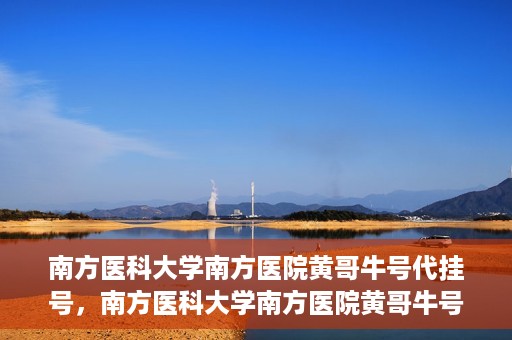 南方医科大学南方医院黄哥牛号代挂号，南方医科大学南方医院黄哥牛号挂号攻略，轻松解决代挂号问题