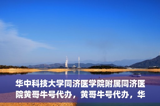 华中科技大学同济医学院附属同济医院黄哥牛号代办，黄哥牛号代办，华中科技大学同济医学院附属同济医院的便捷服务新探