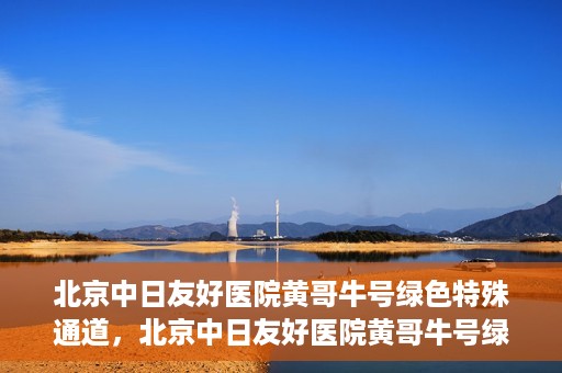 北京中日友好医院黄哥牛号绿色特殊通道，北京中日友好医院黄哥牛号绿色就医特殊通道解析