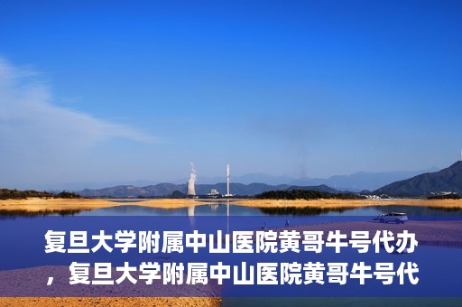 复旦大学附属中山医院黄哥牛号代办，复旦大学附属中山医院黄哥牛号代办，权威医疗资源的深度解读与便捷服务体验