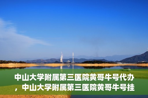 中山大学附属第三医院黄哥牛号代办，中山大学附属第三医院黄哥牛号挂号代办攻略